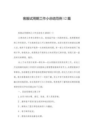 客服试用期工作小总结范例12篇.docx