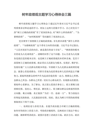 树牢政绩观主题学习心得体会三篇.docx