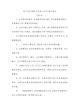 (23条)班子成员2022年度民主生活会批评意见汇集整理【】.docx