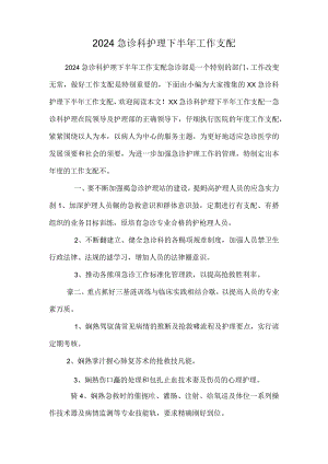 2024急诊科护理下半年工作计划.docx