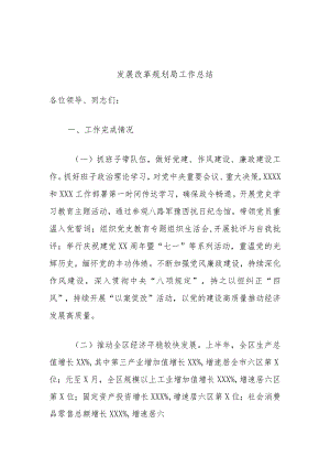 发展改革规划局工作总结.docx