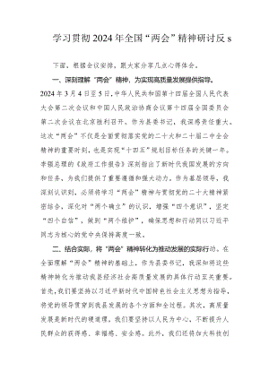 学习贯彻2024年全国“两会”精神研讨发言.docx