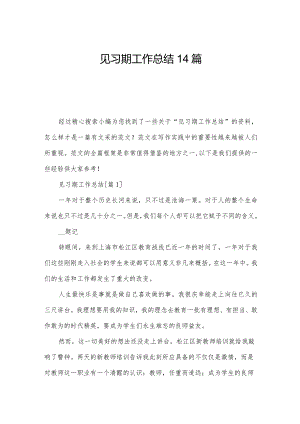 见习期工作总结14篇.docx