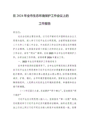在2024年全市生态环境保护工作会议上的工作报告.docx