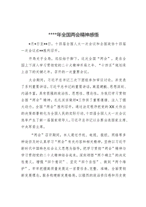 2023年全国两会精神感悟【】.docx