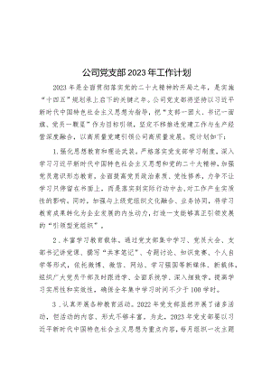 公司党支部2023年工作计划.docx
