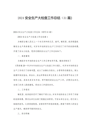 2024安全生产大检查工作总结（31篇）.docx