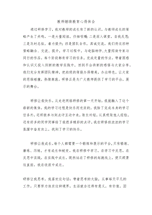 教师继续教育心得体会.docx
