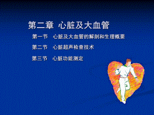 心脏彩超操作.ppt