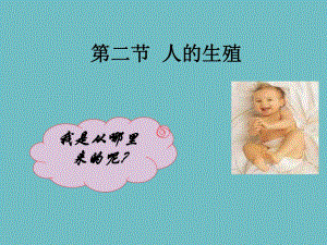 人的生殖.ppt