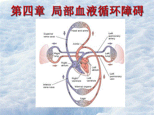 局部血液循环障碍.ppt
