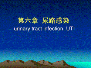 尿路感染2.ppt