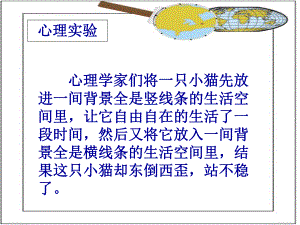 心理学家们将一只小猫先放进一间背景全是竖线条的生活....ppt