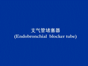 支气管堵塞器.ppt