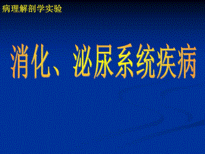 检验病理实验消化、泌尿系统疾病.ppt