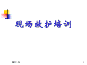 新概念cpr意外急症现场救护培训.ppt
