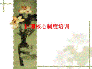 护理核心制度培训PPT护理安全警示教育.ppt