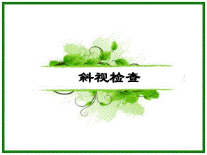 斜视检查.ppt