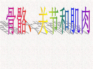 教科版小学科学四级上册《骨骼、关节和肌肉》课件.ppt
