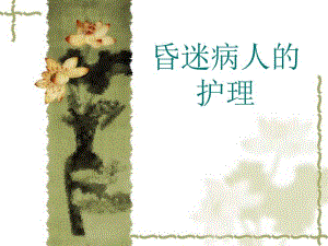 昏迷病人的护理.ppt