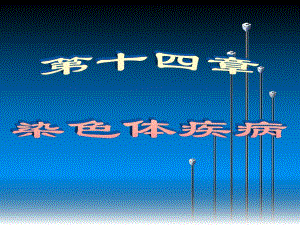 染色体疾病ppt.ppt