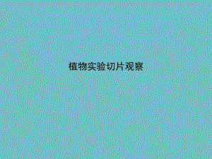植物实验切片观察ppt.ppt