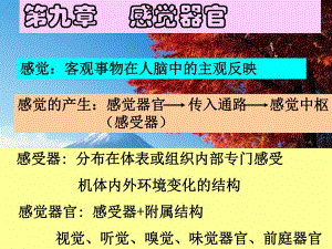 感觉生理.ppt
