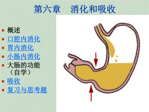 第六章消化与吸收.ppt