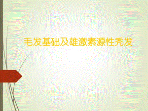 毛发基础及雄激素源性脱发.ppt