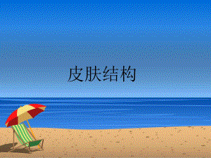 皮肤结构及肤质.ppt