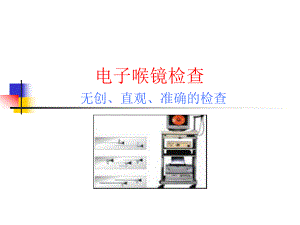 电子喉镜检查.ppt.ppt