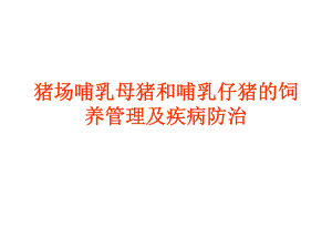 泌乳母猪和哺乳仔猪的饲养.ppt