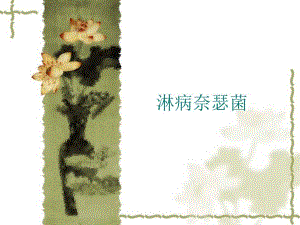 淋病奈瑟菌的分类与鉴定.ppt