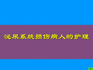 泌尿系统损伤病人的护理ppt.ppt
