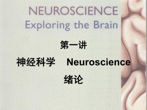 神经科学 绪论.ppt.ppt