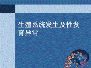 生殖系统发生及性发育异.ppt