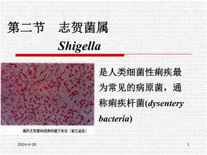 第10章 肠杆菌科.ppt