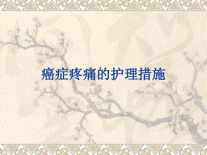 癌症疼痛的护理措.ppt