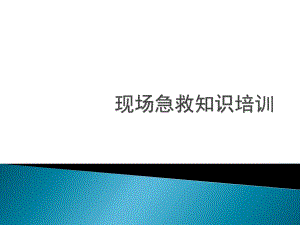 现场急救知识培训1.ppt