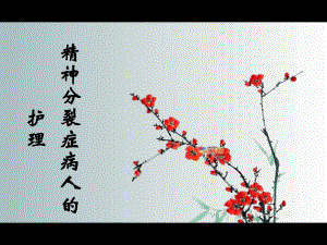 第七章 精神分裂症病人的护理图文.ppt