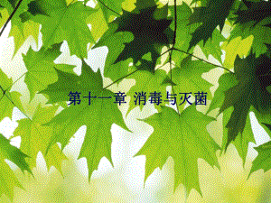 第11消毒与灭菌.ppt