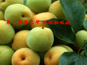 消化和吸收2.ppt
