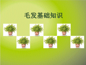 毛发基础知识.ppt