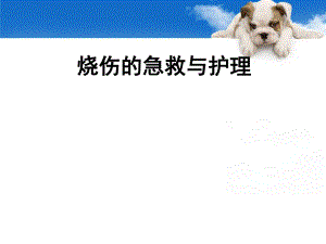 烧伤病人的护理.ppt