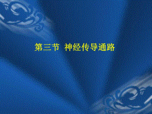 神经传导通路全解剖学.ppt