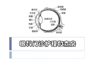 眼科护理工作制度和流程.ppt