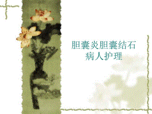 胆囊炎病人护理常.ppt