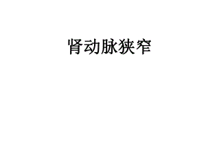 肾动脉狭窄.ppt.ppt