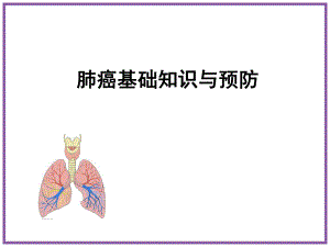 肺癌基础知识与预防.ppt