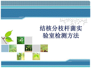 结核分枝杆菌实验室检测方法.ppt